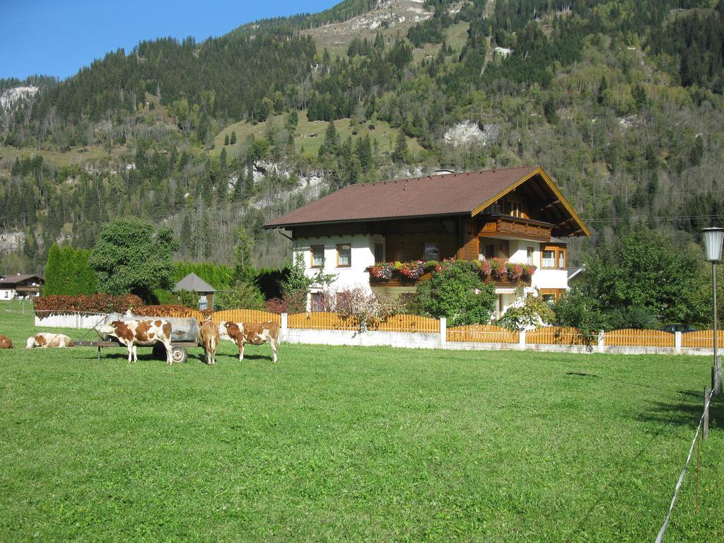 Haus Schoenegger Dorfgastein Eksteriør bilde